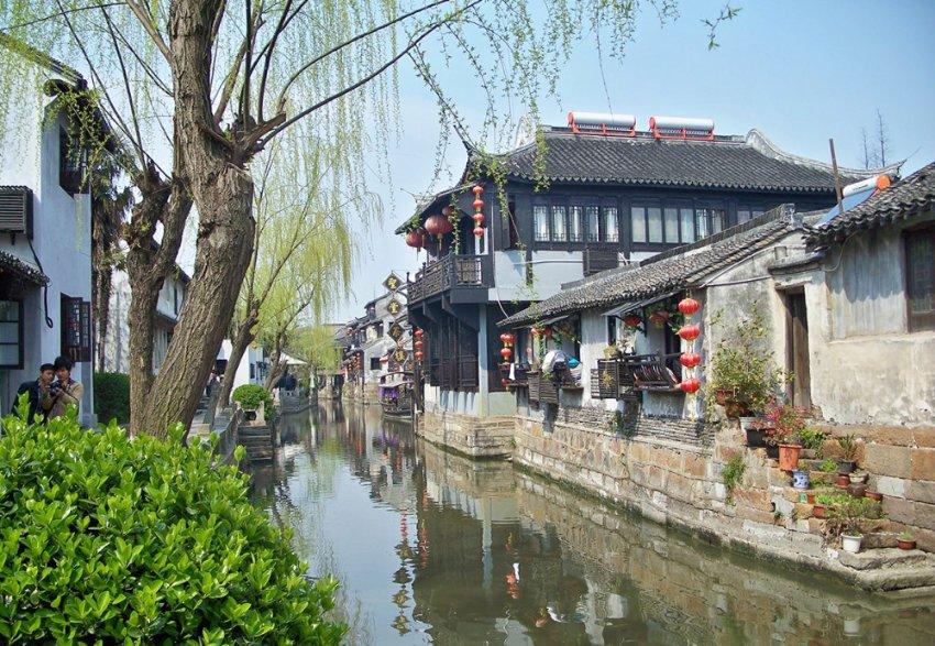 男子家中种满毒品大麻，提纯用品俱全